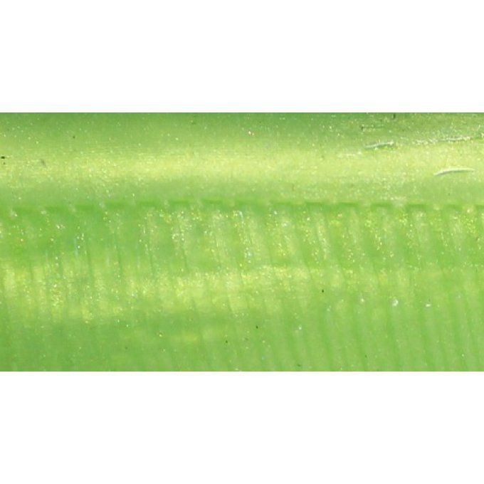 COLORANTS LIQUIDE 30 ML / vert printemps
