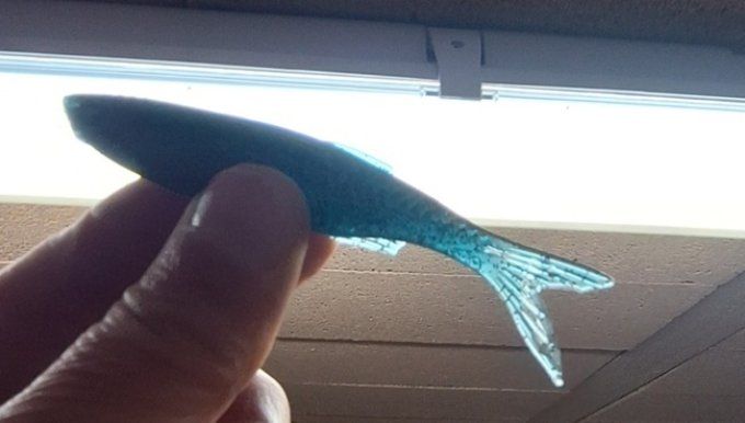 COLORANTS LIQUIDE 30 ML / Bleu écrevisse