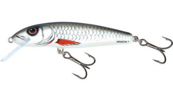 SALMO® Minnow 5 cm floating  /   Dace