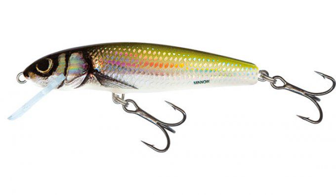 SALMO® Minnow 5 cm sinking / Holo Bleak