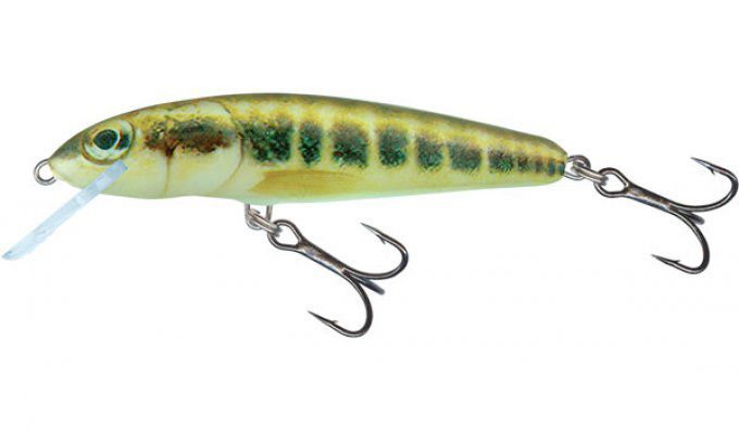 SALMO® Minnow 5 cm sinking / Minnow