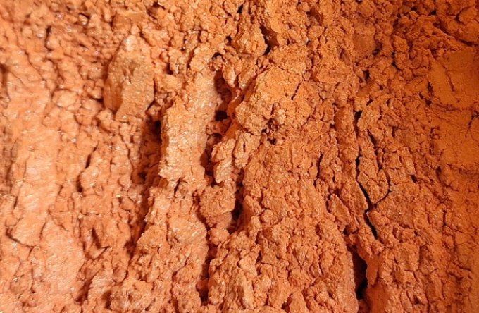 COLORANTS POUDRE NACRE 25g/ orange