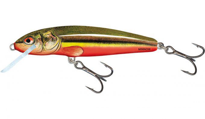 SALMO® Minnow 5 cm sinking / Rainbow Dace