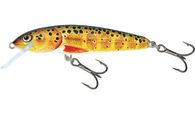 SALMO® Minnow 5 cm sinking / Trout