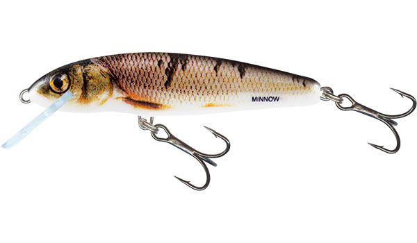 SALMO® Minnow 5 cm sinking / Wounded  Dace
